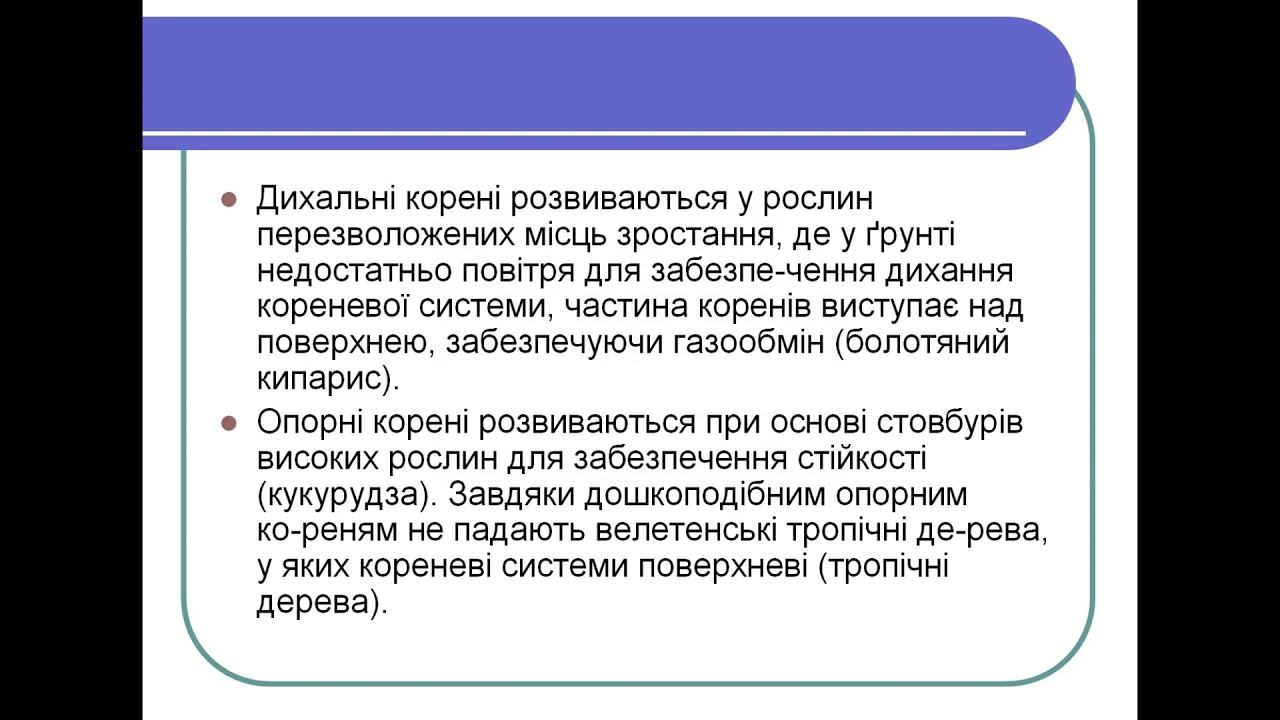 видоизменения корней смотреть онлайн