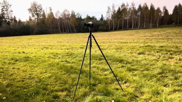Best Budget Travel Tripod? | Sirui Traveler X Review смотреть онлайн