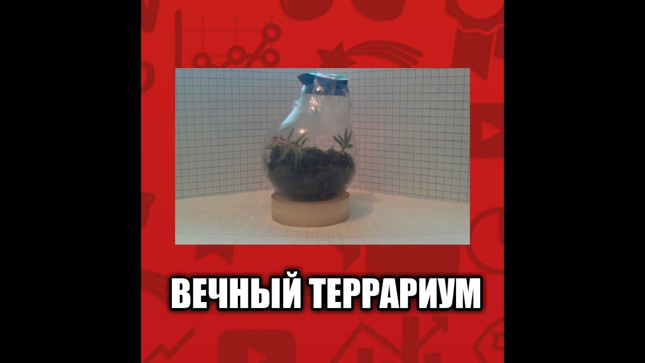 ЛАЙФХАК | "ВЕЧНЫЙ ТЕРРАРИУМ" | GTG смотреть онлайн