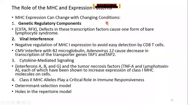 Major Histocompatibility complex(MHC) part 2 смотреть онлайн