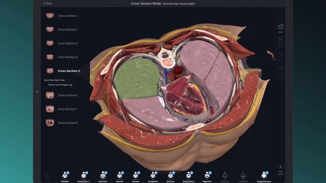 Discover Complete Anatomy 2021 смотреть онлайн