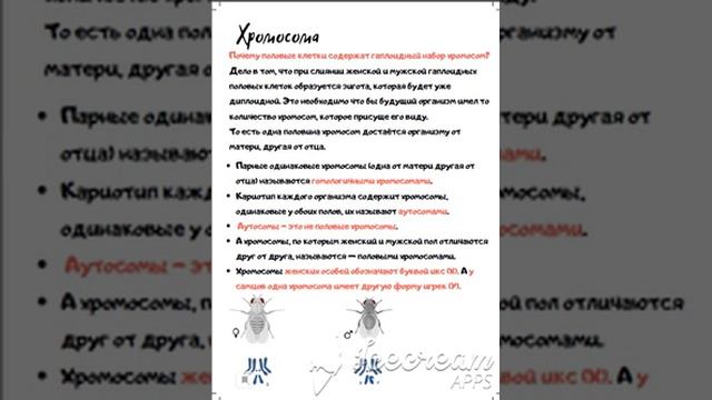 Органоиды(часть 10) смотреть онлайн