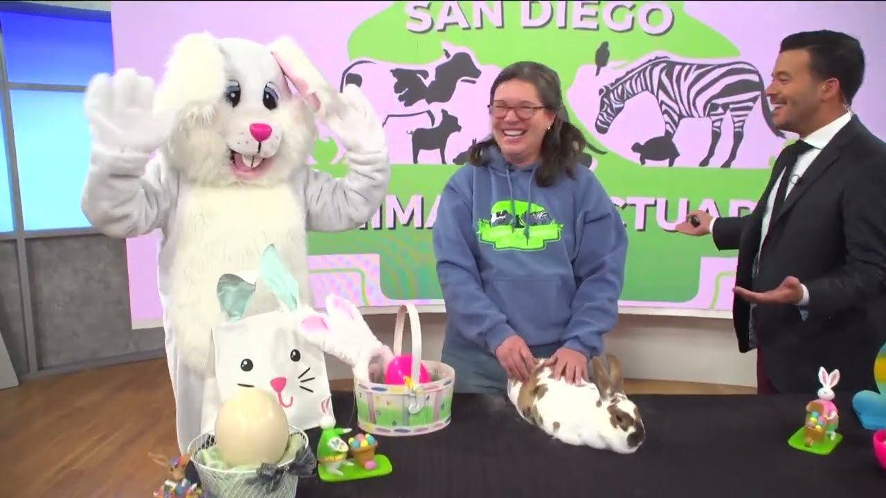 San Diego Animal Sanctuary & Farm hosting Easter egg hunts смотреть онлайн