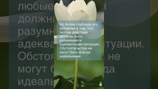 Главный принцип аюрведы #аюрведа #психология #женскиепрактики #yoga #медитация #философия #веды смотреть онлайн