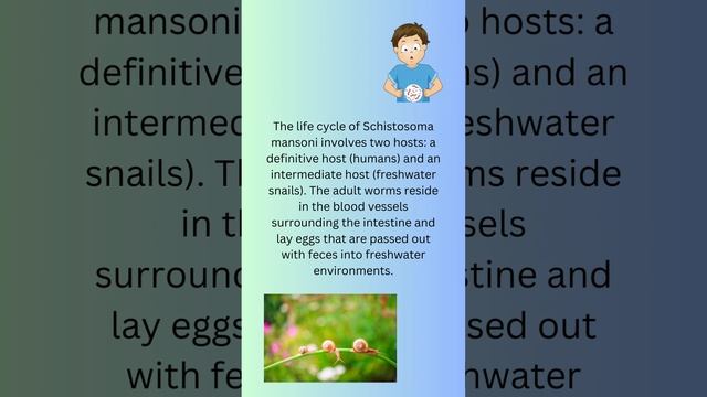Schistosoma mansoni смотреть онлайн