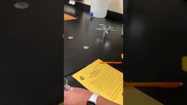 Observation & Questioning Lab: Step 1 смотреть онлайн