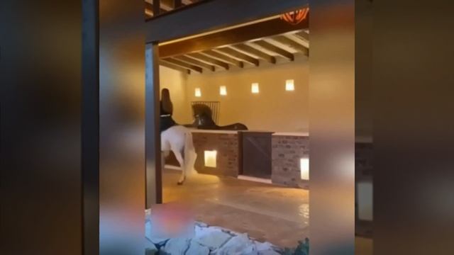 Корпорация Юмора - Вот так и уживаюсь со своими соседями так-то смотреть онлайн