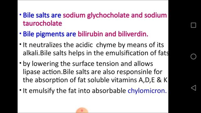 Role of Digestive Enzymes in the Alimentary Canal.B.Sc.Dr.Seema Saxena. смотреть онлайн