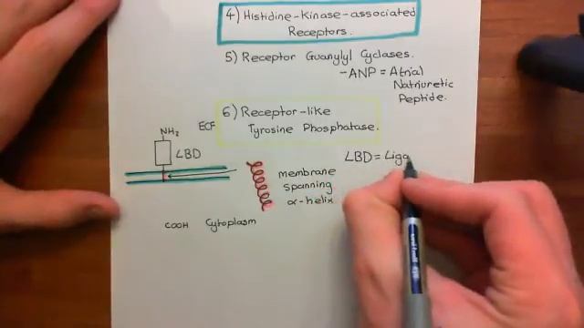 Receptor Tyrosine Kinases Part 1 смотреть онлайн