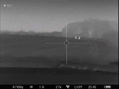 Pulsar Trail XQ50 Thermal Scope My First Use UK