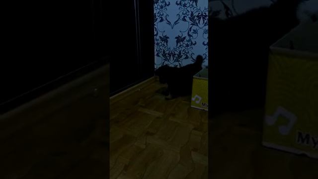 Адаптация Персея смотреть онлайн
