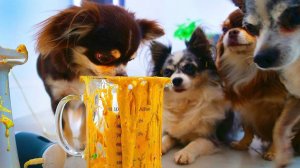 ЗАСУНУЛИ СЛАЙМЫ В БЛЕНДЕР 😱 Мы пожалели 😳