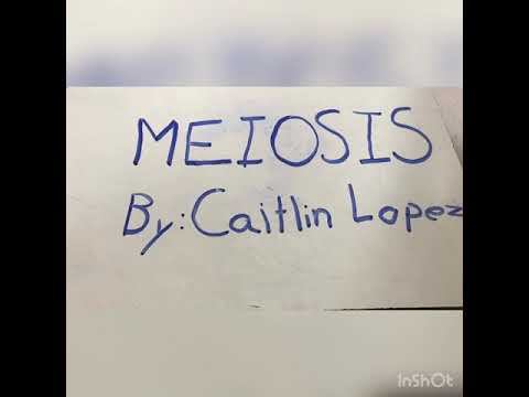 Meiosis (Ava,Taylor,Caitlin) смотреть онлайн