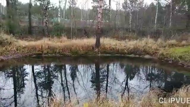 А НОЯБРЬ- ВСЕГО ЛИШЬ ОСЕНЬ... смотреть онлайн