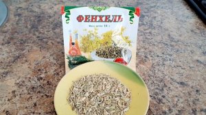 ТАК ВОТ ПОЧЕМУ НУЖНО САДИТЬ ФЕНХЕЛЬ НА ОГОРОДЕ