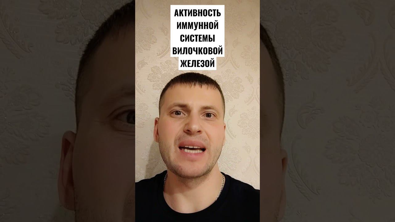 АКТИВНОСТЬ ИММУННОЙ СИСТЕМЫ В ВИЛОЧКОВОЙ ЖЕЛЕЗЕ смотреть онлайн