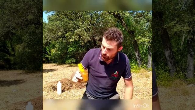 Estimation du pH du sol en foret - BioClimSol смотреть онлайн