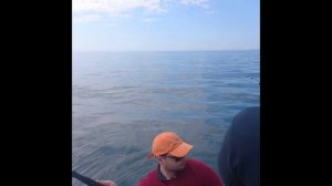 Рыбалка в Сочи, ставрида 8 апреля