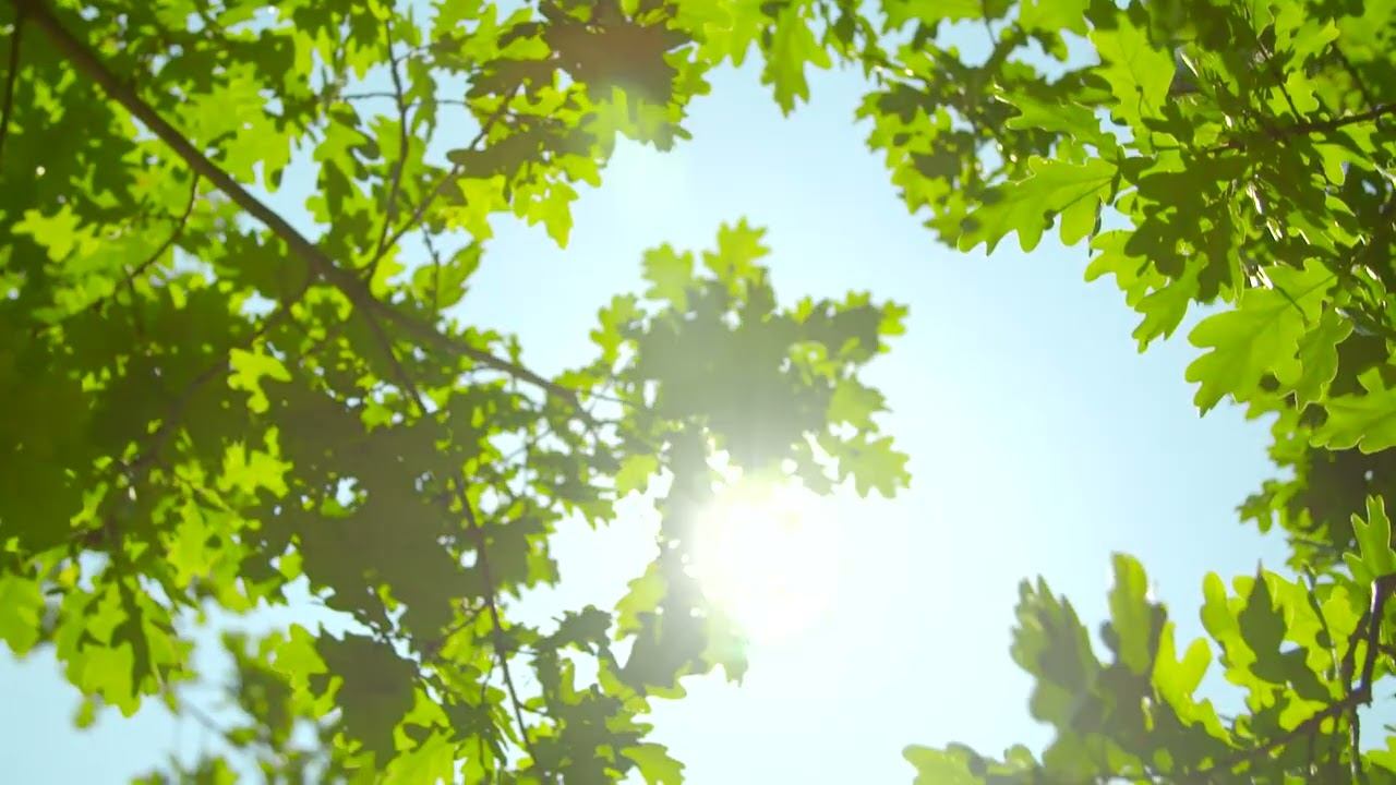 НЕОБОСНОВАННАЯ АГРЕССИЯ смотреть онлайн