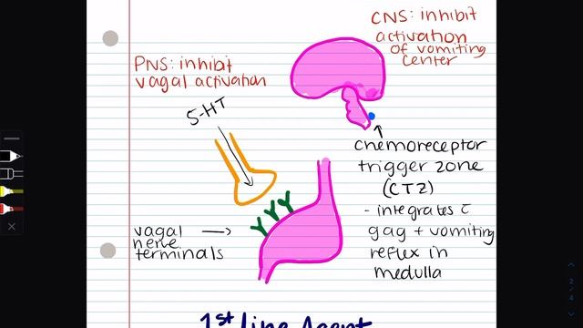 Ed talk Rx1 Ondansetron смотреть онлайн