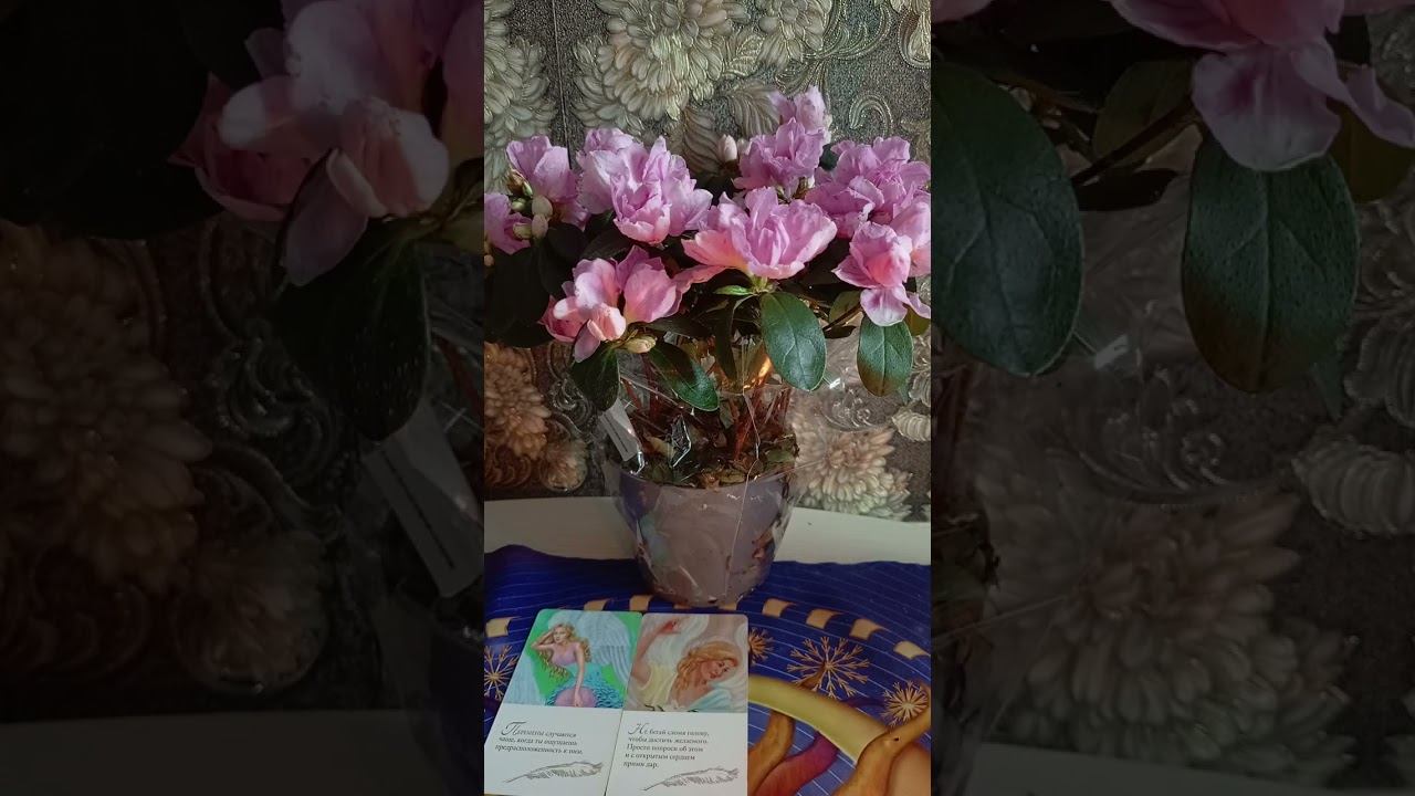 Советы Ангела и Знаки Вселенной ❤️ смотреть онлайн