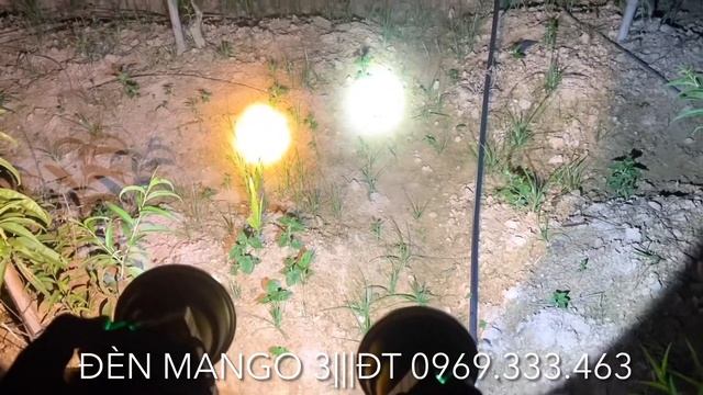 Đèn đội đầu siêu sáng Mango 3 chip led SST40 cập nhật ánh sáng vàng zalo 0969.333.463 смотреть онлайн