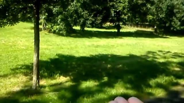 Blue Tit Feed Three 19 08 2020 смотреть онлайн