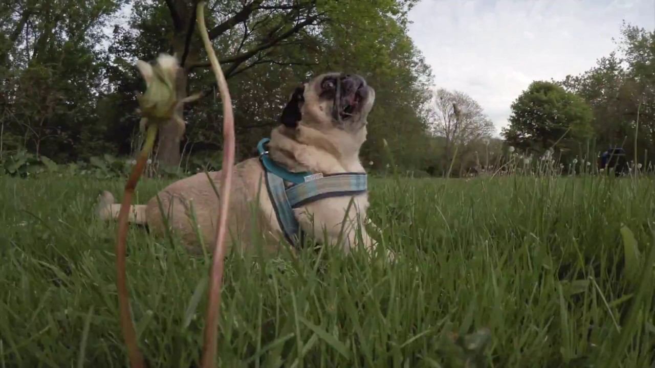 Karma Is Everything смотреть онлайн