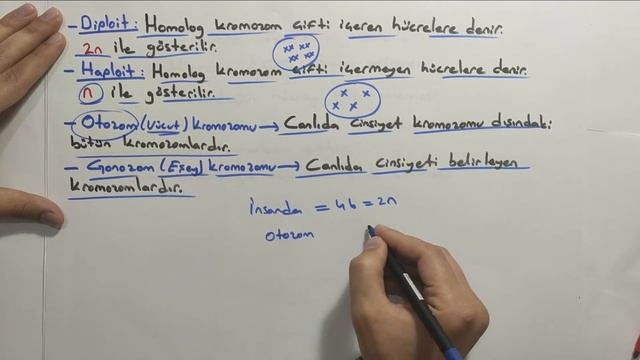Mitoz Bölünme 1 | TYT | (10.Sınıf) смотреть онлайн