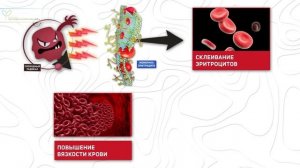 Анализ на гликированный гемоглобин – как он связан с сахаром крови, нормы, расшифровка