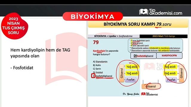 2023 Nisan TUS Biyokimya Değerlendirmesi - Soru Analizi смотреть онлайн