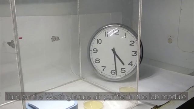 Westinghouse Bacteria Video смотреть онлайн