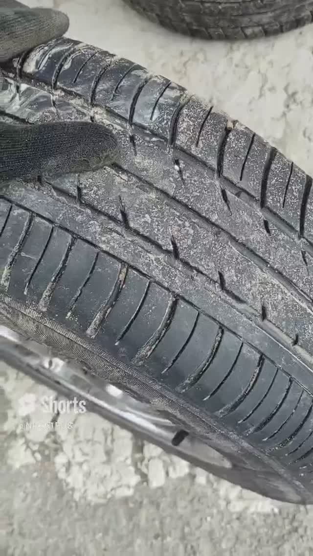 Belshina Bel-254 отзыв смотреть онлайн