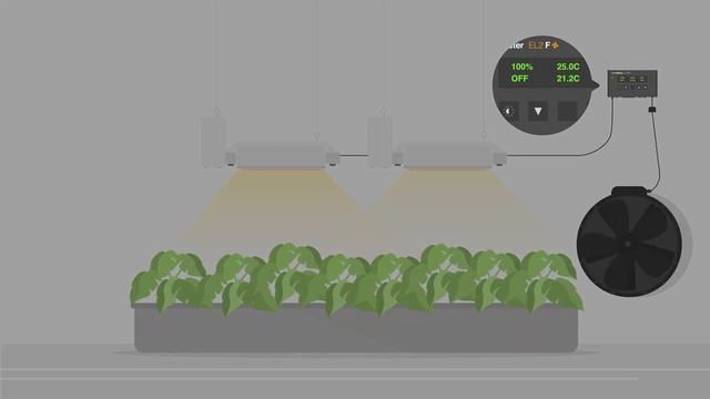 Gavita Master Controller Gen 2 смотреть онлайн