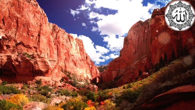 Прекрасный нашид | Чувства любви | Muhammad Al Muqit #محمد_المقيط #muhammad_al_muqit #naseed