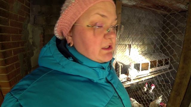 Зимнее содержание кур смотреть онлайн