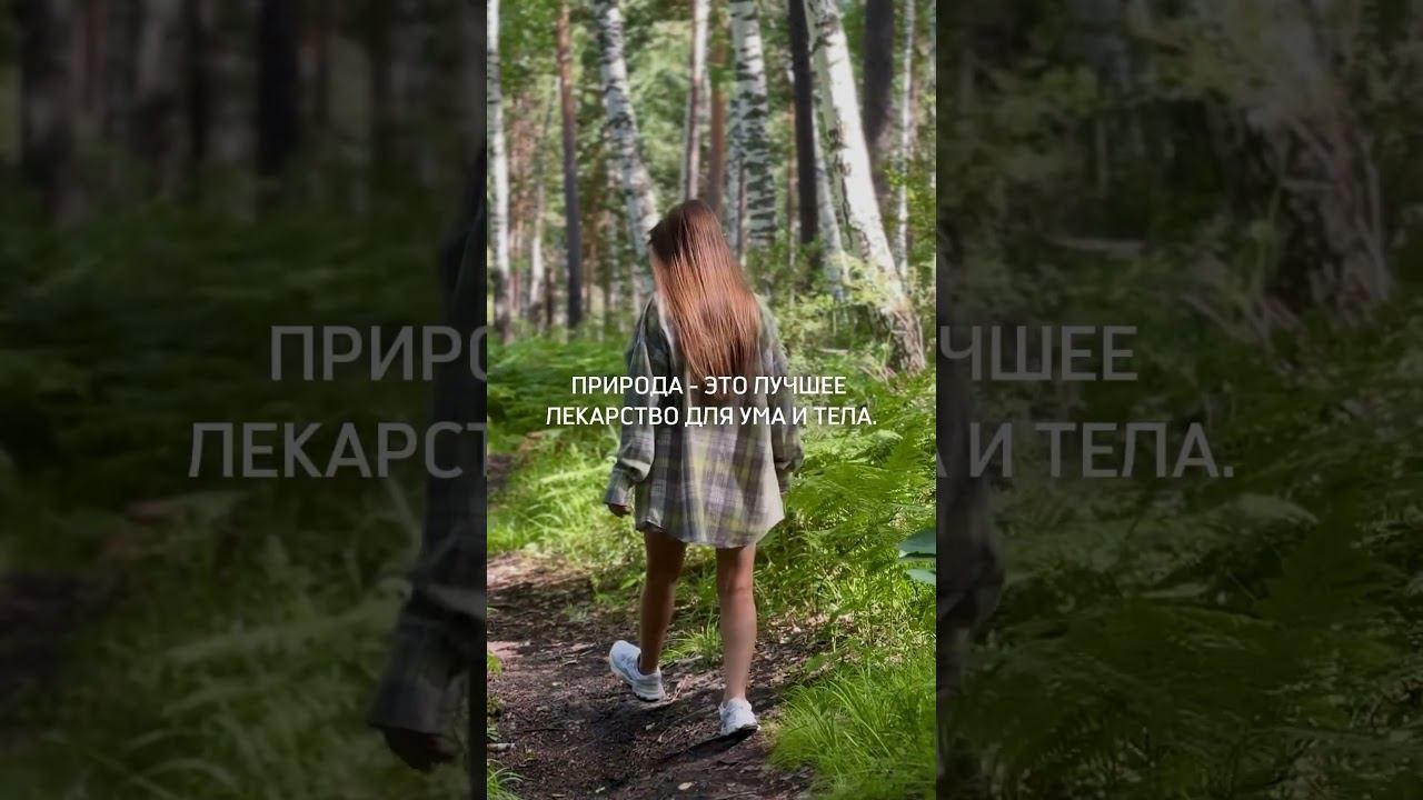 Отношение к природе - это важно! смотреть онлайн