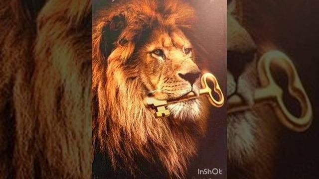 Отец и Слово
Дмитрий Марачевский