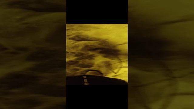 1000022863.mp4 смотреть онлайн