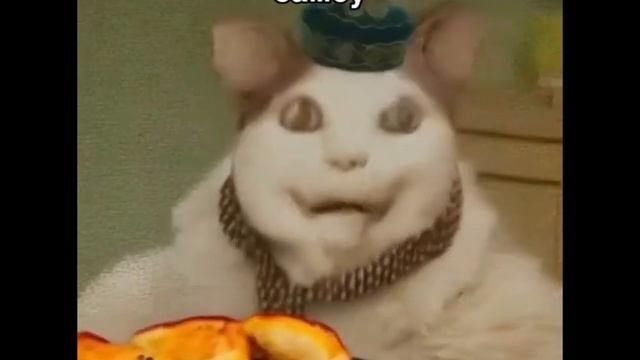 БУ ПРОГОЛОДАЛСЯ НЕ БОЙСЯ СЕЙЧАС НАКОРМЛЮ смотреть онлайн