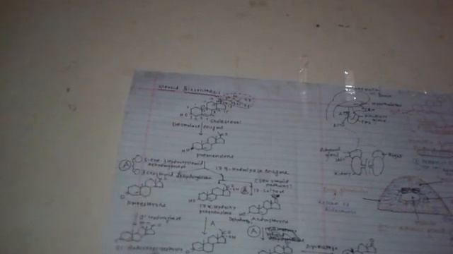 Steroid Hormone Biosynthesis Pathway by D.P.Kardile смотреть онлайн