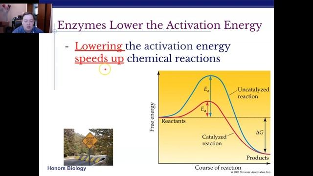 Enzyme Video Notes 20/21 смотреть онлайн