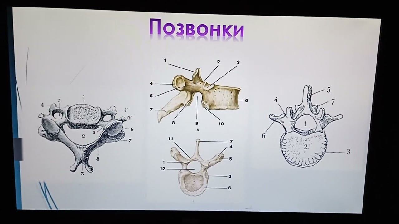 Продолжение (4 часть) смотреть онлайн