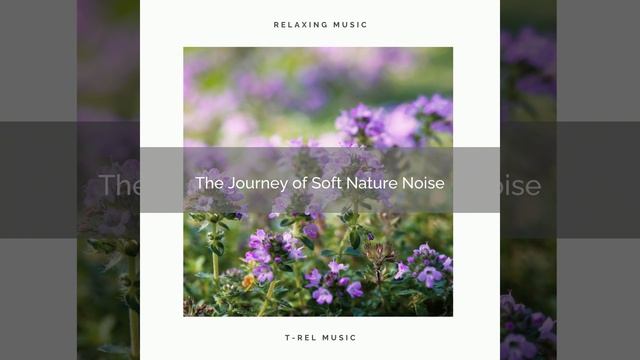 Gain Total Sleep with Unique Nature Tunes for Recharge pt. 2 смотреть онлайн