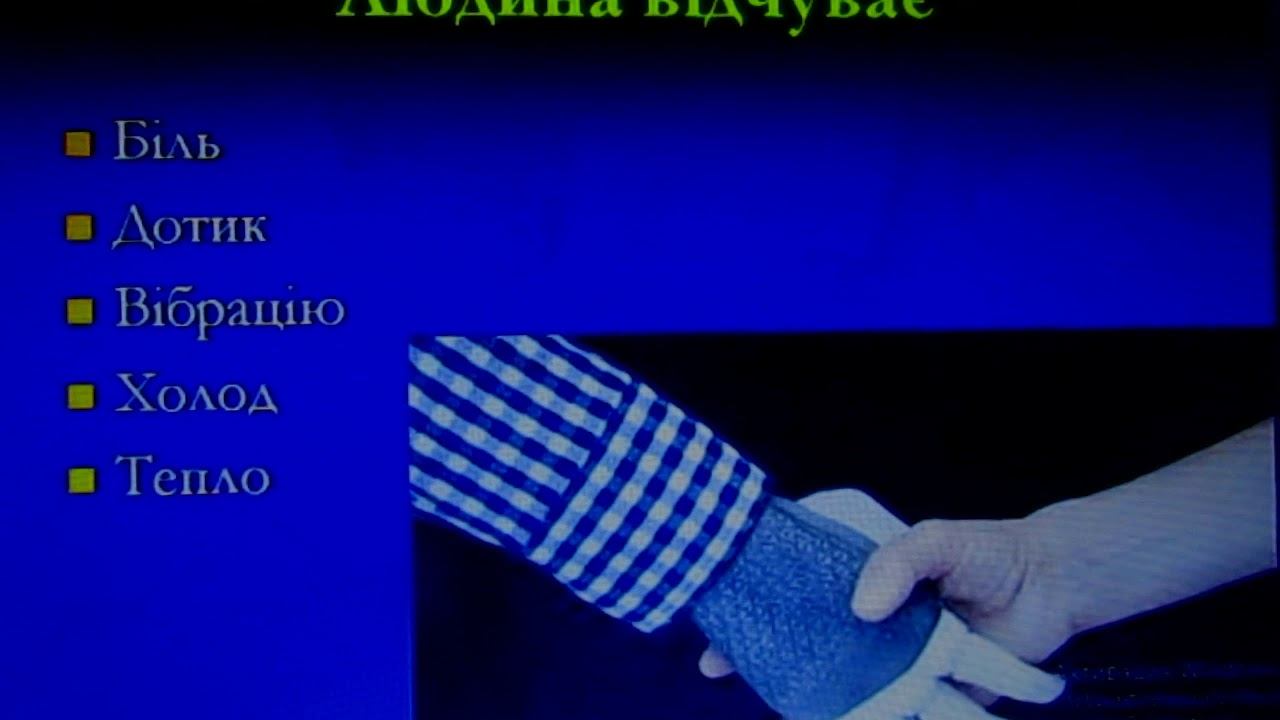 ОЗОШ №80. Природознавство 3 клас. Відеоурок. Шкіра. Як зберегти шкіру. смотреть онлайн