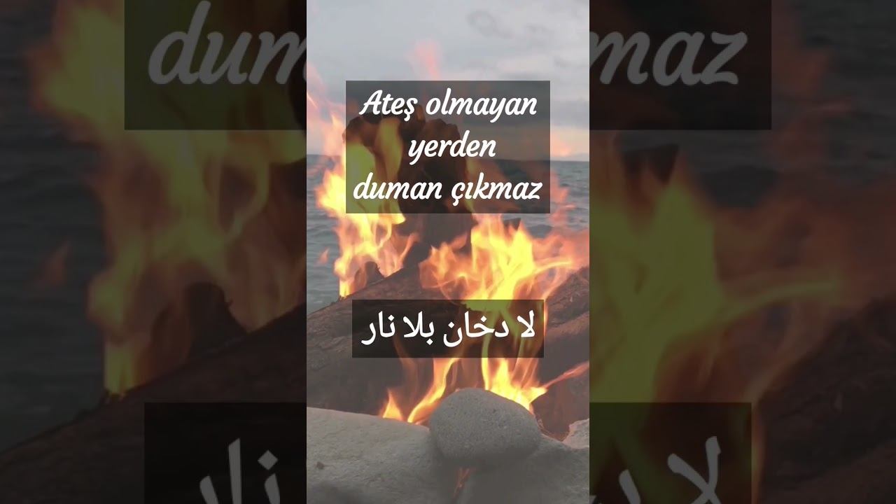 تعلم التركية بسهولة 🇹🇷 أمثلة شعبية #محادثة смотреть онлайн