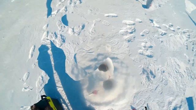 Зимняя рыбалка берш на тюльку кама Fishing и мороз минус 25