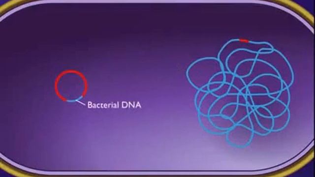 Specialized transduction смотреть онлайн