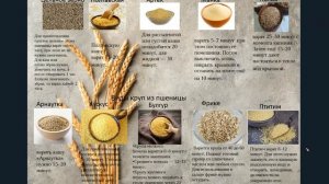 Виды круп из пшеницы