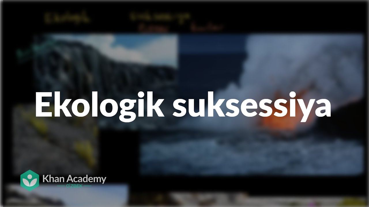 Ekologik Suksessiya | Ekologiya | Biologiya